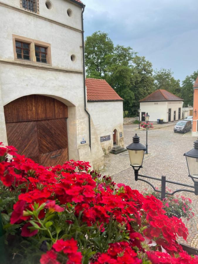Pension Alt Naumburg Naumburg  Zewnętrze zdjęcie